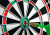 who are some of the top professional dart players